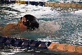 I Letnie Mistrzostwa klubu Korona-Swim Kielce