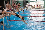 Puchar Starosty Staszowskiego