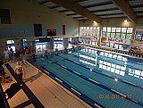 IV Otwarte Mistrzostwa w Pływaniu Pro-Swim 2017 - Zabierz&oacute;w