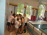 Zawody o Puchar Marszałka Wojew&oacute;dztwa Świętokrzyskiego - sprinty - Czarniecka G&oacute;ra