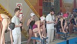 2 runda Dużej Świętokrzyskiej Ligi Pływackiej - Końskie