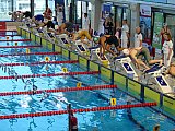 Gł&oacute;wne Mistrzostwa Polski Senior&oacute;w i Młodzieżowc&oacute;w w Pływaniu &ndash; Lublin
