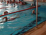 3 runda Świętokrzyskie - Już Pływam - Sandomierz