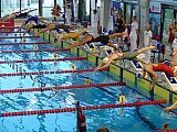 Gł&oacute;wne Mistrzostwa Polski Senior&oacute;w i Młodzieżowc&oacute;w w Pływaniu &ndash; Lublin