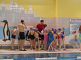 Wiosenne Zawody Korony-Swim