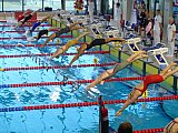Gł&oacute;wne Mistrzostwa Polski Senior&oacute;w i Młodzieżowc&oacute;w w Pływaniu &ndash; Lublin