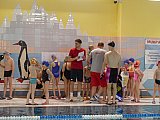 Wiosenne Zawody Korony-Swim
