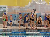 Wiosenne Zawody Korony-Swim