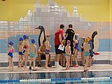 Wiosenne Zawody Korony-Swim