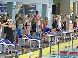 Letnie Mistrzostwa Okręgu Świętokrzyskiego - Ostrowiec Św.
