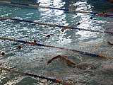 XIII Og&oacute;lnopolskie Zawody o Puchar Rycerza Kmity - Zabierz&oacute;w