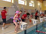 Wiosenne Zawody Korony-Swim