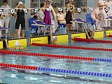 Duża Świętokrzyska Liga Pływacka - Finał - Ostrowiec Św.
