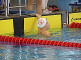 Duża Świętokrzyska Liga Pływacka - Finał - Ostrowiec Św.
