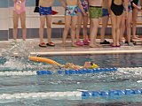 Wiosenne Zawody Korony-Swim