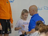 Duża Świętokrzyska Liga Pływacka - Finał - Ostrowiec Św.