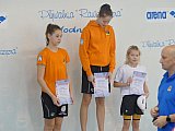 Duża Świętokrzyska Liga Pływacka - Finał - Ostrowiec Św.