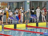 Duża Świętokrzyska Liga Pływacka - Finał - Ostrowiec Św.