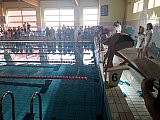 II Letnie Mistrzostwa Klubu MUKP Korona-Swim Kielce - pływanie