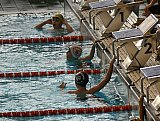 Od Młodzika do Olimpijczyka - Warszawa