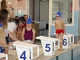 Wiosenne Zawody Korony-Swim
