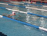 5 runda Dużej Świętokrzyskiej Ligi Pływackiej - Sandomierz