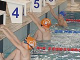 Wiosenne Zawody Korony-Swim
