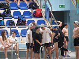 3 runda Dużej Świętokrzyskiej Ligi Pływackiej - Ostrowiec Św.