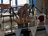 IV Otwarte Mistrzostwa w Pływaniu Pro-Swim 2017 - Zabierz&oacute;w