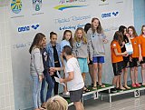 4 runda Dużej Świętokrzyskiej Ligi Pływackiej - Ostrowiec Św. 