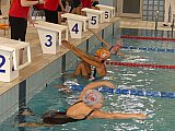 Wiosenne Zawody Korony-Swim