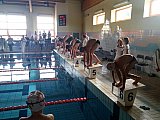 II Letnie Mistrzostwa Klubu MUKP Korona-Swim Kielce - pływanie