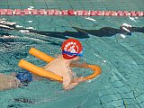 Wiosenne Zawody Korony-Swim