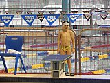 4 runda Świętokrzyskie - Już Pływam - Ostrowiec Św.
