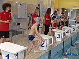 Wiosenne Zawody Korony-Swim