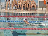 Wiosenne Zawody Korony-Swim