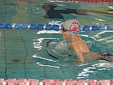 Wiosenne Zawody Korony-Swim