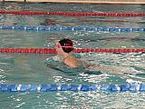 Wiosenne Zawody Korony-Swim