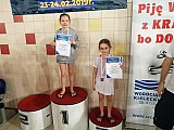 Og&oacute;lnopolskie Zawody o Puchar Dyrektora MOSiR - Kielce