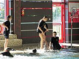 2 runda Międzywojew&oacute;dzkich Drużynowych Mistrzostw Młodzik&oacute;w 12 lat - Mielec