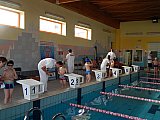 II Letnie Mistrzostwa Klubu MUKP Korona-Swim Kielce - pływanie