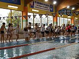 IV Memoriał Pływacki im. Grzegorza Kuczyńskiego - Sandomierz