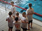 Integracyjna Wiosna Pływacka - Radom