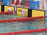 Og&oacute;lnopolskie Zawody o Puchar dyrektora MOSiR - Kielce