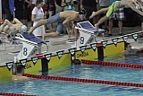 Grand Prix Polski - Poznań