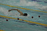 SHERATON POZNAN CUP International Swim & Masters Meet