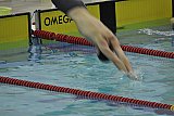 SHERATON POZNAN CUP International Swim & Masters Meet