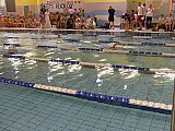 Bijemy Rekordy Korony-Swim Kielce 2019