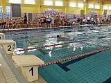 Bijemy Rekordy Korony-Swim Kielce 2019