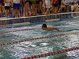 Bijemy Rekordy Korony-Swim Kielce 2019